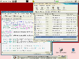 snimak-ekrana-fileroller+gedit.png